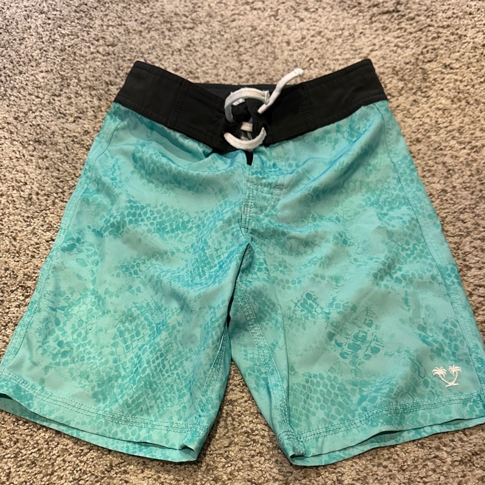 Catch Surf , boys Aqua Board Shorts with Black Waistband